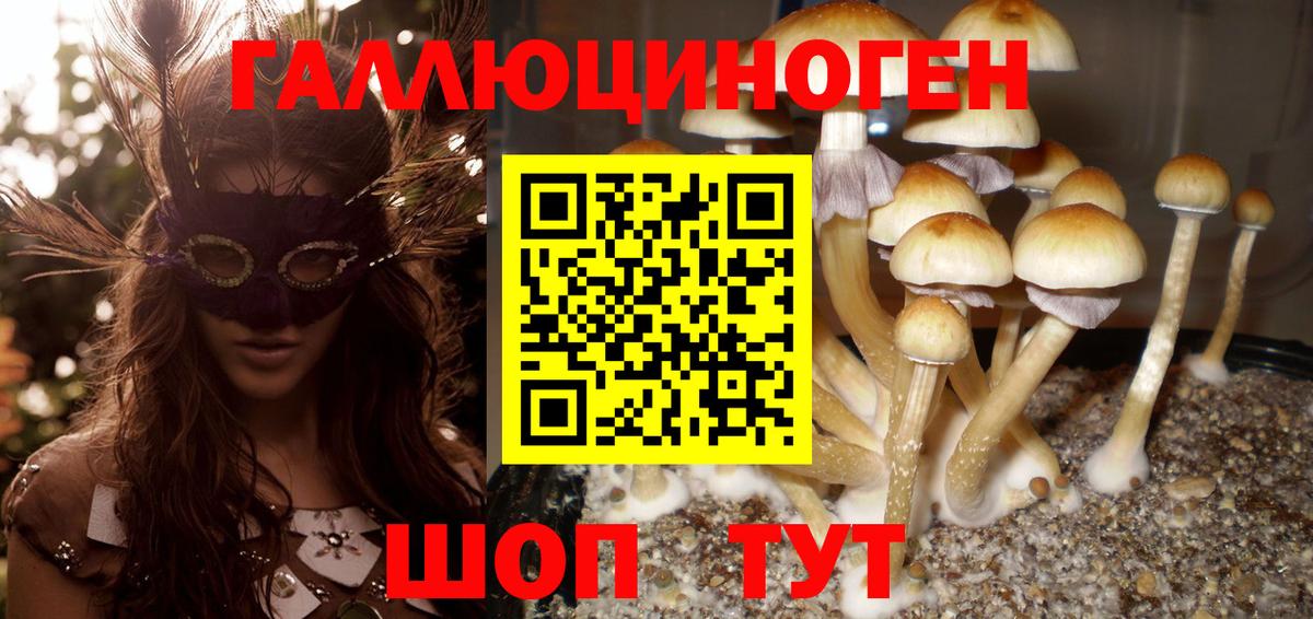 Псилоцибиновые грибы Magic Shrooms Волжский