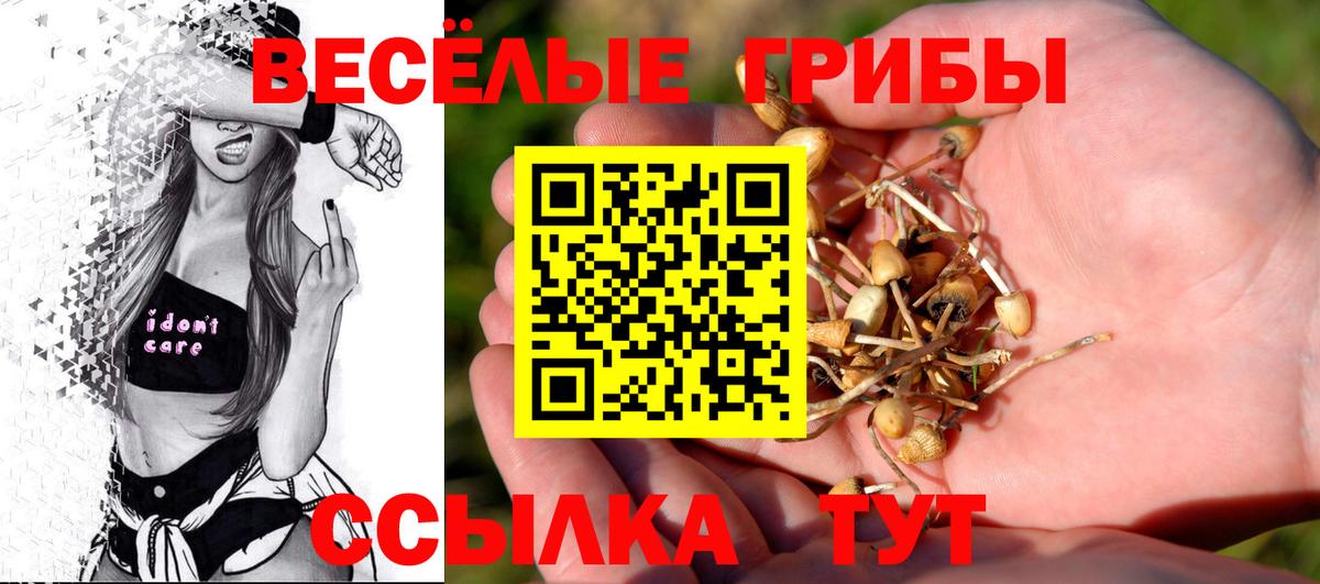Волжский  Галлюциногенные грибы прущие грибы  Вход с VPN 
